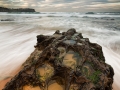 Newport Beach